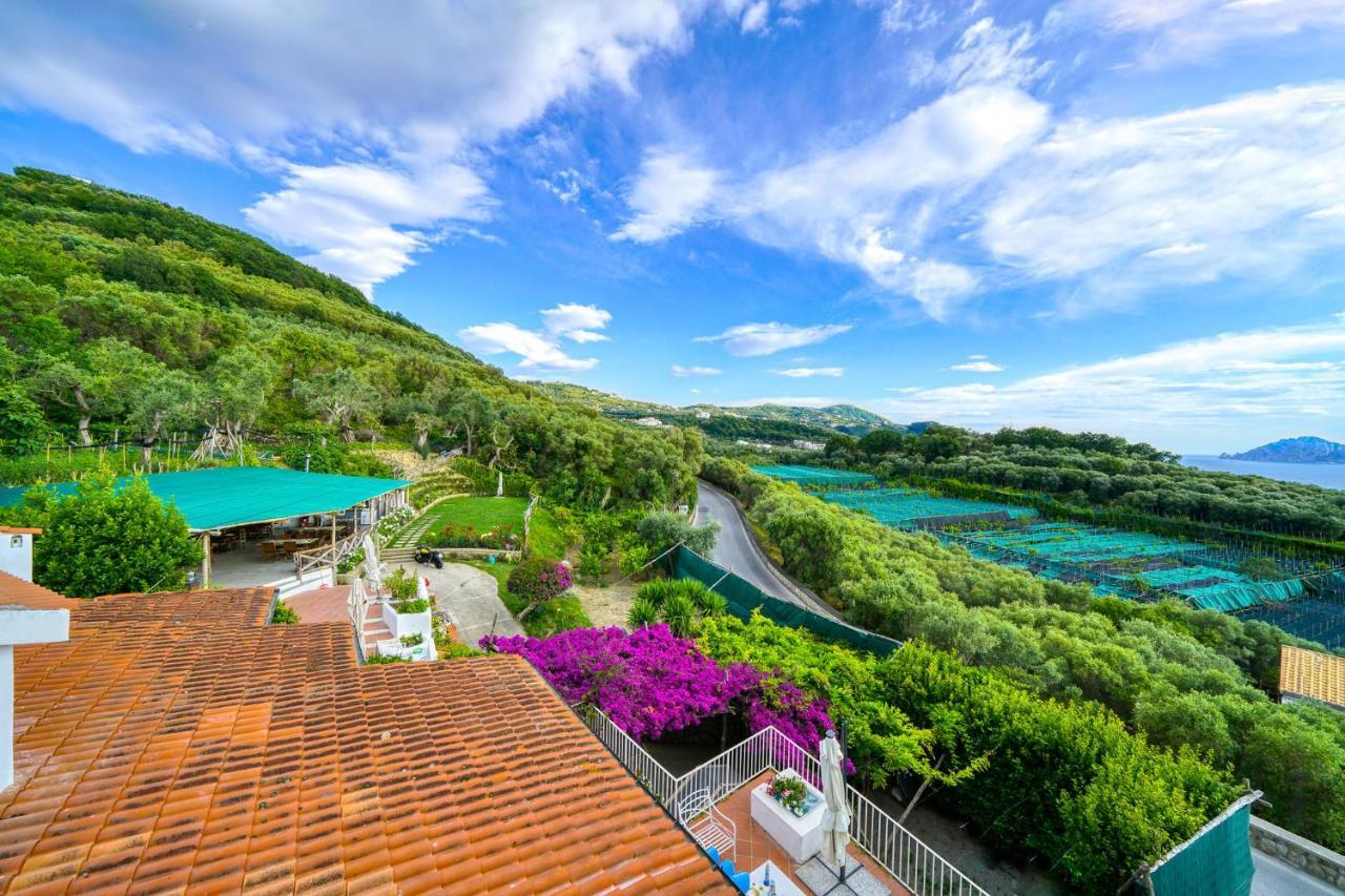 Villa Lorelei Massa Lubrense Exterior foto